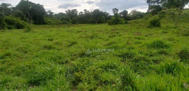Fazenda / Sítio / Chácara à venda, 1161600m² no , Rio Sono