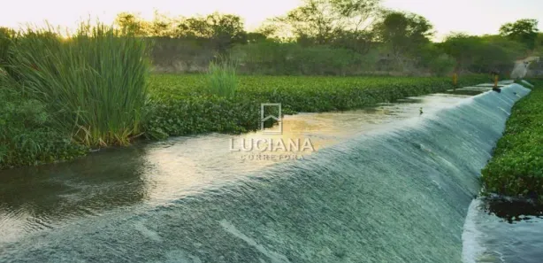 Fazenda / Sítio / Chácara à venda, 20000m² no Povoado Insurreição, Sairé