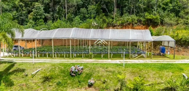 Fazenda / Sítio / Chácara com 3 Quartos à venda, 260m² no Quatro Barras, Quatro Barras