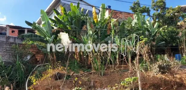 Terreno / Lote Comercial à venda, 275m² no Santa Maria, Vespasiano