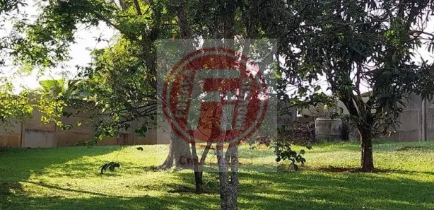 Fazenda / Sítio / Chácara com 4 Quartos à venda, 400m² no Canto das Águas, 