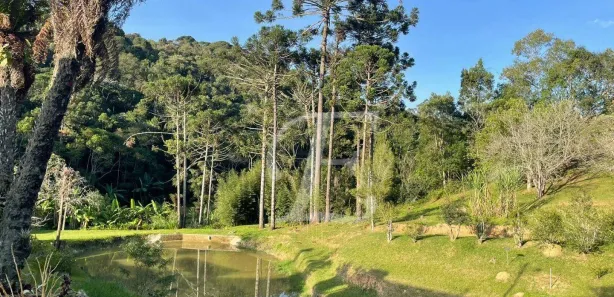 Fazenda / Sítio / Chácara à venda, 338800m² no Triângulo Azul, São Lourenço da Serra