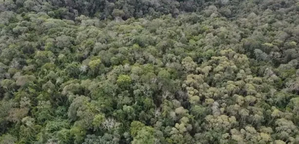 Fazenda / Sítio / Chácara à venda, 290400m² no , Antonina