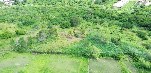 Fazenda / Sítio / Chácara à venda, 40000m² no Área Rural de Gravatá, Gravatá