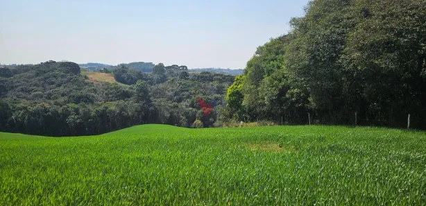 Fazenda / Sítio / Chácara com 1 Quarto à venda, 20000m² no Capela Velha, Araucária