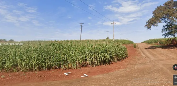 Terreno / Lote Comercial à venda, 90750m² no , Assaí