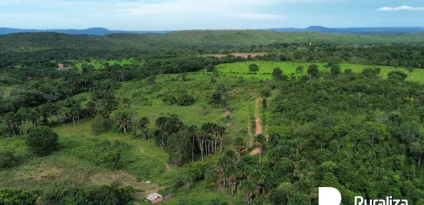 Fazenda / Sítio / Chácara à venda, 304m² no , Paraíso do Tocantins