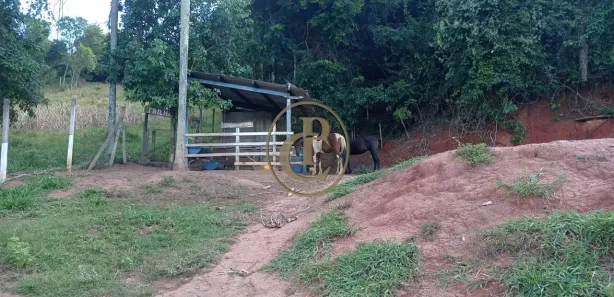Fazenda / Sítio / Chácara com 3 Quartos à venda, 300m² no Caçapava Velha, Caçapava