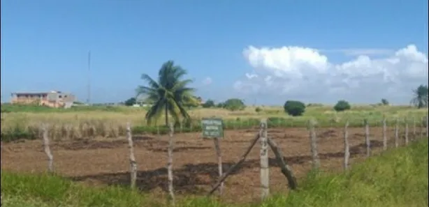 Terreno / Lote / Condomínio à venda, 1456m² no , Pitimbu