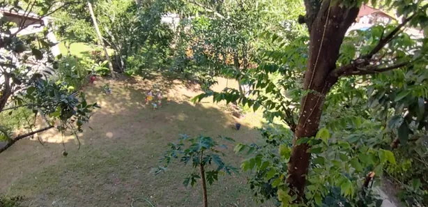 Fazenda / Sítio / Chácara com 3 Quartos à venda, 200m² no Mantiquira, Duque de Caxias
