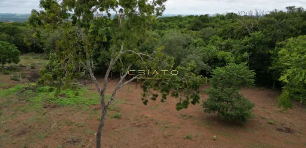 Terreno / Lote / Condomínio à venda, 4000m² no , Silvânia