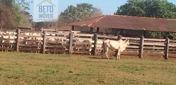 Fazenda / Sítio / Chácara à venda, 406000000m² no Zona Rural, Pium