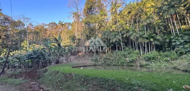 Fazenda / Sítio / Chácara com 3 Quartos à venda, 20855m² no Centro, Massaranduba