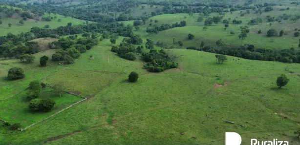 Fazenda / Sítio / Chácara à venda, 1102m² no , Presidente Kennedy