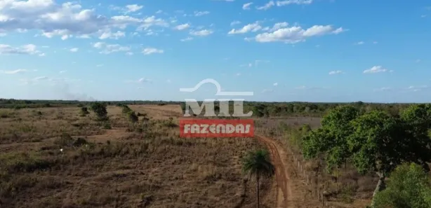 Fazenda / Sítio / Chácara à venda, 500m² no , Pium