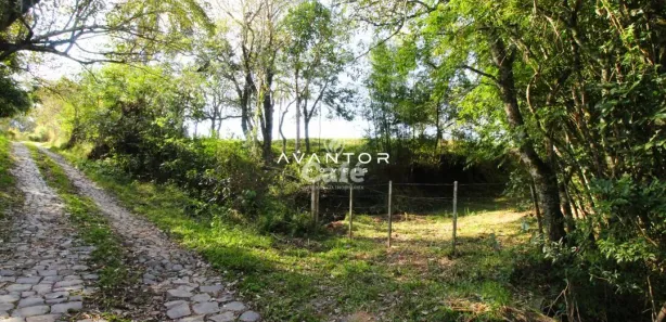 Fazenda / Sítio / Chácara à venda, 15000m² no Pé de Plátano, Santa Maria