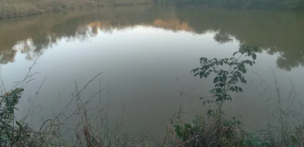 Fazenda / Sítio / Chácara à venda, 150m² no Centro, Padre Bernardo