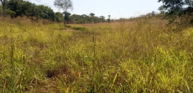 Fazenda / Sítio / Chácara com 5 Quartos à venda, 1600000m² no Área Rural do Gama, Brasília