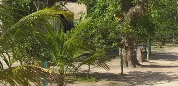 Fazenda / Sítio / Chácara com 8 Quartos à venda, 127000m² no Tinguá, Nova Iguaçu