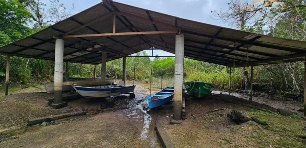 Fazenda / Sítio / Chácara com 4 Quartos à venda, 36469m² no , Antonina