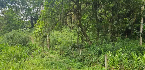 Terreno / Lote / Condomínio à venda, 900m² no Antonina, Antonina