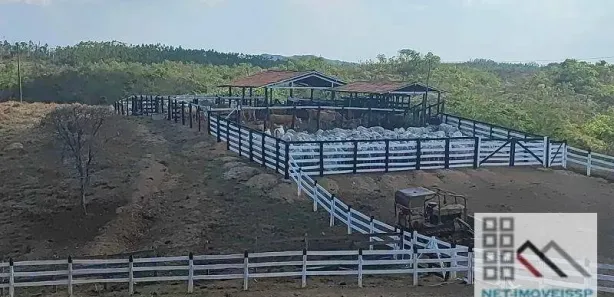 Fazenda / Sítio / Chácara à venda, 500m² no , Padre Bernardo
