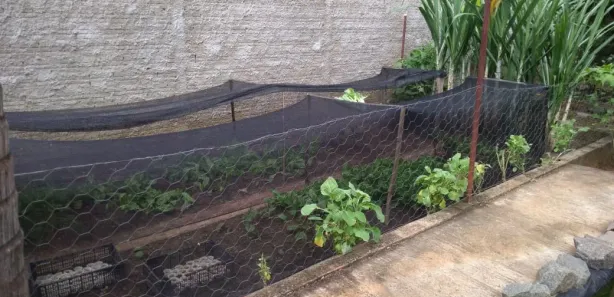 Fazenda / Sítio / Chácara com 3 Quartos à venda, 200m² no , Alambari