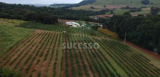 Fazenda / Sítio / Chácara à venda, 84089m² no Santa Felicidade, Cascavel