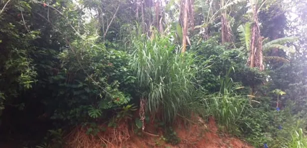 Terreno / Lote / Condomínio à venda, 10m² no Bingen, Petrópolis