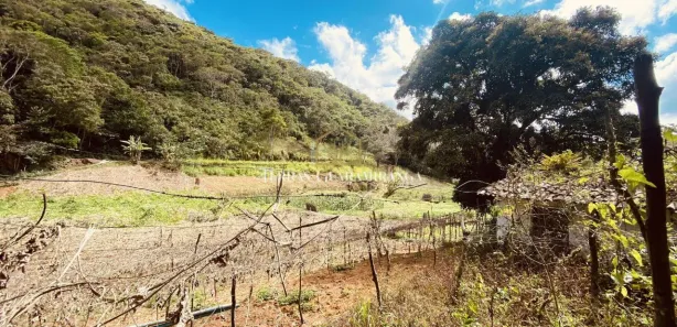 Terreno / Lote / Condomínio à venda, 20000m² no , Pacoti