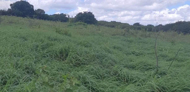 Fazenda / Sítio / Chácara à venda, 4500000m² no zona rural, Ielmo Marinho
