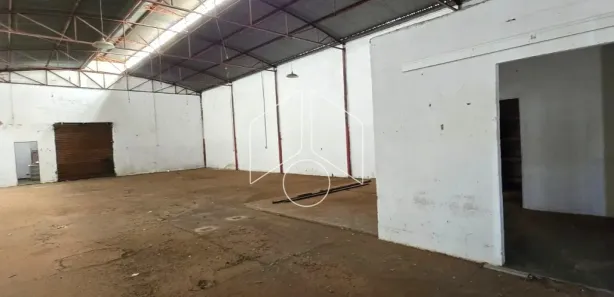 Galpão / Depósito / Armazém à venda, 350m² no Alto Cafezal, Marília