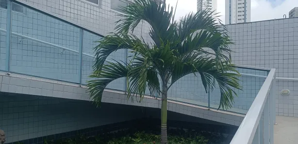 Apartamento com 3 Quartos à venda, 61m² no Madalena, Recife