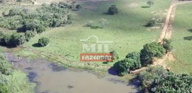 Fazenda / Sítio / Chácara à venda no Área Rural de Formosa, Formosa