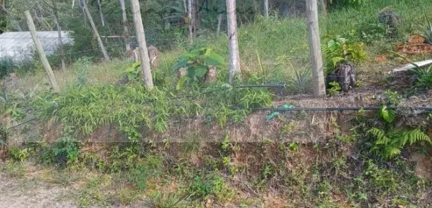Terreno / Lote / Condomínio à venda, 400m² no , Águas Mornas