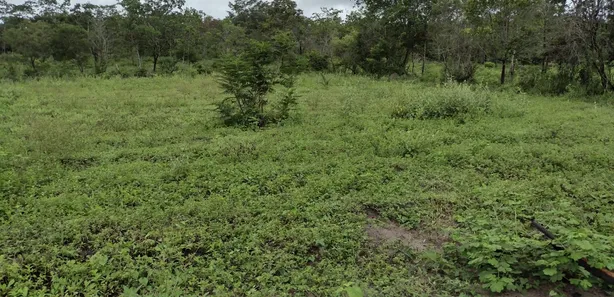 Terreno / Lote / Condomínio à venda, 20000m² no , Fortuna de Minas