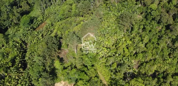 Fazenda / Sítio / Chácara com 1 Quarto à venda, 20100m² no Centro, Massaranduba