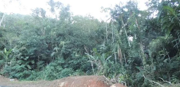 Terreno / Lote / Condomínio à venda, 112000m² no Vargem Grande, Águas Mornas
