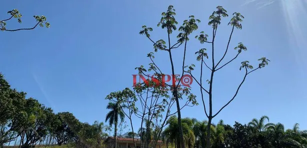 Fazenda / Sítio / Chácara com 4 Quartos à venda, 51838m² no , Bom Jesus dos Perdões