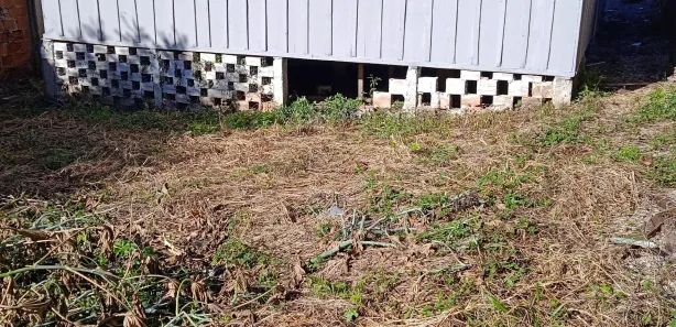 Casa com 2 Quartos para alugar, 20m² no Guarani, Colombo