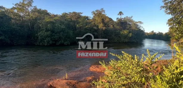 Fazenda / Sítio / Chácara à venda, 500m² no Setor Central, Ponte Alta do Tocantins
