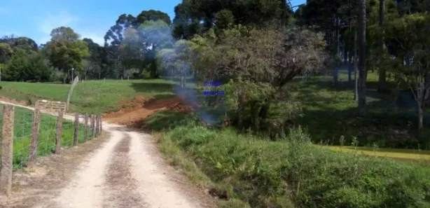 Fazenda / Sítio / Chácara com 1 Quarto à venda, 7000m² no , Contenda