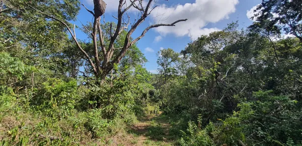 Terreno / Lote / Condomínio à venda, 565m² no Açu da Torre, Mata de São João