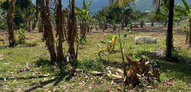 Terreno / Lote / Condomínio à venda, 3250m² no Sampaio Correia (Sampaio Correia), Saquarema