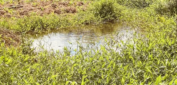 Terreno / Lote / Condomínio à venda, 20000m² no , Pacoti