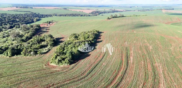 Fazenda / Sítio / Chácara à venda, 4065600m² no Cornélio Procópio, Cornélio Procópio
