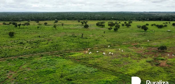 Fazenda / Sítio / Chácara à venda, 650m² no , Cristalândia