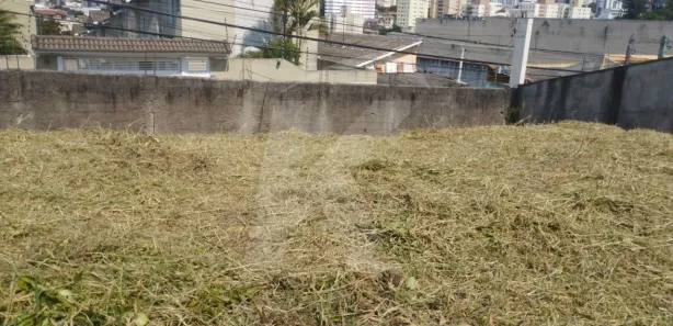 Terreno / Lote / Condomínio à venda, 1000m² no Vila Mazzei, São Paulo