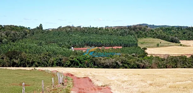Fazenda / Sítio / Chácara à venda, 1365m² no São Salvador, Cascavel