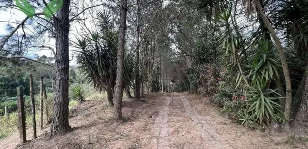 Terreno / Lote / Condomínio à venda, 18455m² no Taboleiro Verde, Cotia